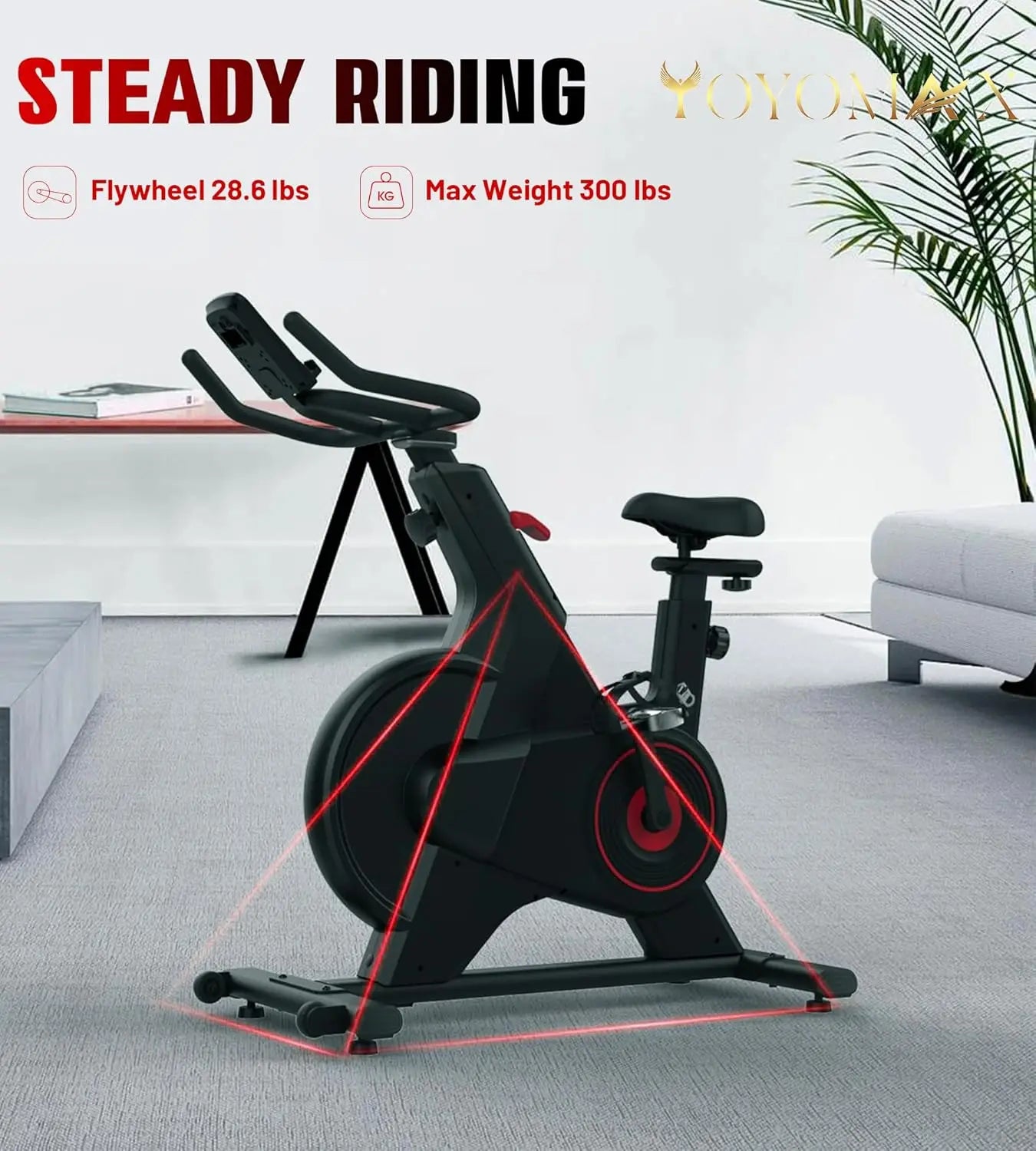 Exercise Bike, Indoor Cycling Bike/Magnetic Stationary Bike