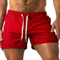 Men s Lightweight Quick Dry Running Shorts