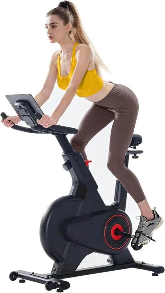 Exercise Bike, Indoor Cycling Bike/Magnetic Stationary Bike