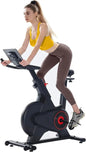 Exercise Bike, Indoor Cycling Bike/Magnetic Stationary Bike
